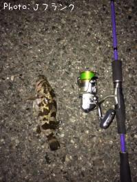 �����Υ���Х�