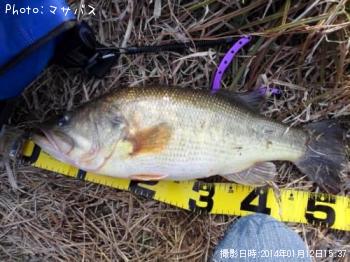 ¥Ö¥é¥Ã¥¯¥Ð¥¹