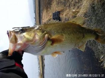 ¥Ö¥é¥Ã¥¯¥Ð¥¹