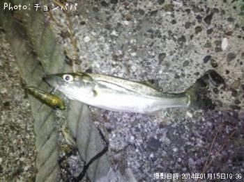 �����Х����ߥ�