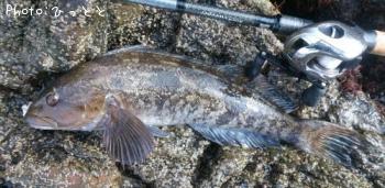 �����ʥ�