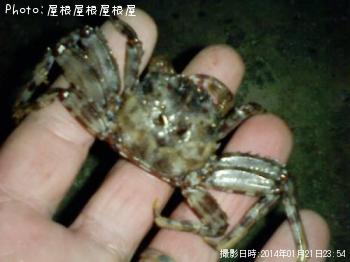 ¥«¥Ë¤Á¤ã¤ó