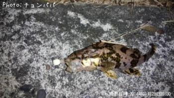 ¥¿¥±¥Î¥³¥á¥Ð¥ë