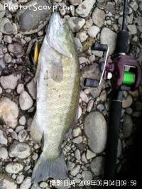 �֥�å��Х�