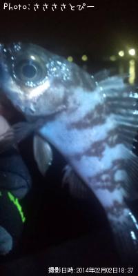 ��Х����ä���ʢ�ѥ󥽥�