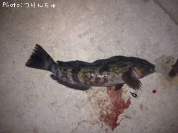 �����ʥ�