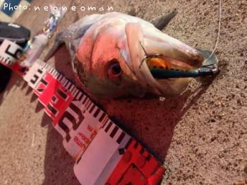 �����Х�