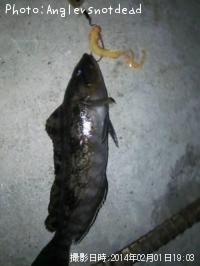 �����ʥ�