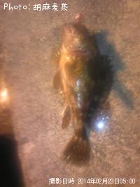 �����ϥ�