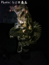 �٥å�������