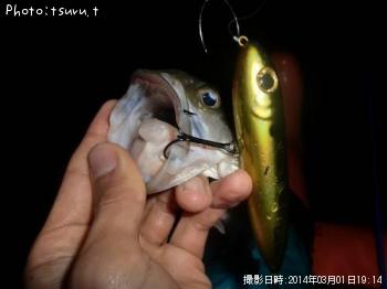 �֥�å��Х�