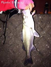 �����Х�