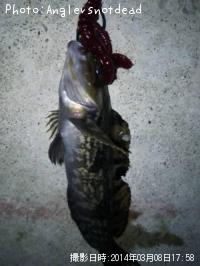 �����ʥ�