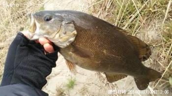 ¥¹¥â¡¼¥ë¥Þ¥¦¥¹¥Ð¥¹