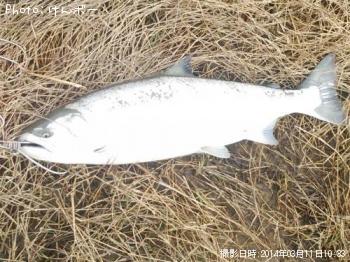 ������ޥ�