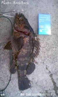 �٥å�������