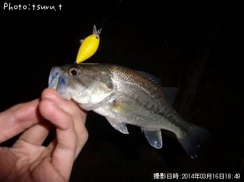 �֥�å��Х�