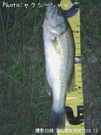 �֥�å��Х�