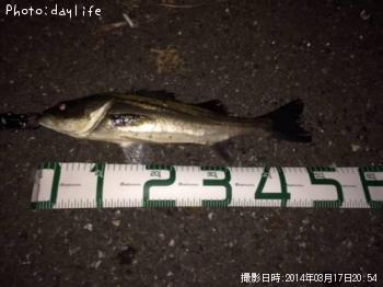 �����Х�