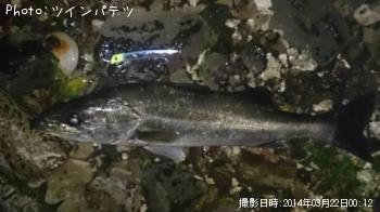 �����Х�