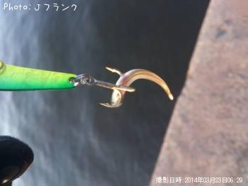 �����Х�