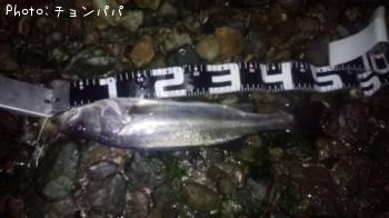 �����Х�