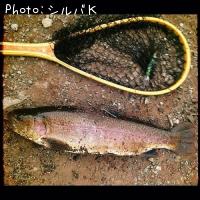 ¥í¥Ã¥¯¥È¥é¥¦¥È