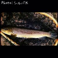 �֥饦��ȥ饦��