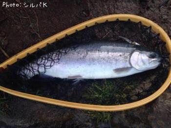 �����ۡ��������