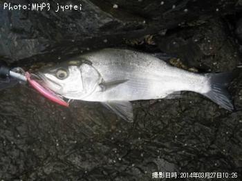 �ҥ饹����