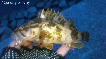 ¥á¥Ð¥ë¡õ¥¿¥±¥Î¥³