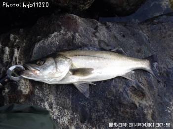 �����Х�