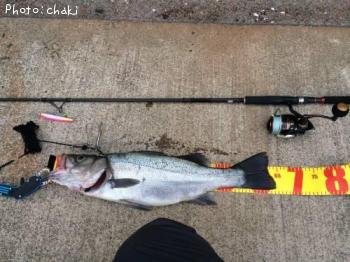 �ҥ饹����