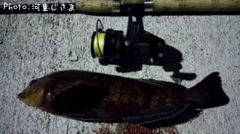 �����ʥ�