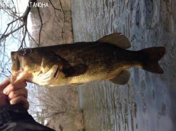 �֥�å��Х�