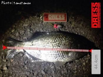 ���������楴��