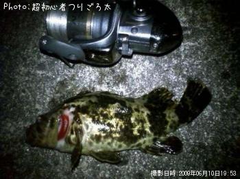 ¥Ù¥Ã¥³¥¦¥¾¥¤