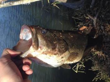 ¥Ö¥é¥Ã¥¯¥Ð¥¹