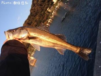 �����Х�