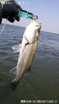 �����Х�