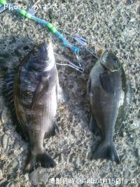 �����������᥸��