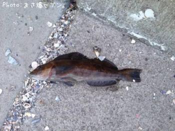 �����ʥ�