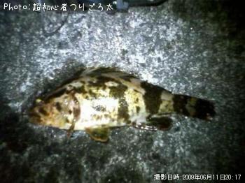 �٥å�������