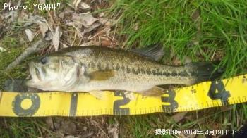 �֥�å��Х�