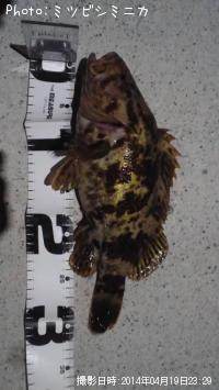 �����Υ���Х�