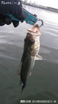 �����Х�