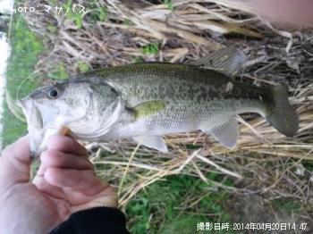 ¥Ö¥é¥Ã¥¯¥Ð¥¹