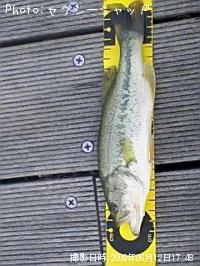 ¥Ö¥é¥Ã¥¯¥Ð¥¹