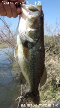 ¥Ö¥é¥Ã¥¯¥Ð¥¹