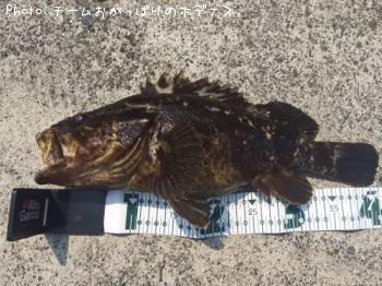 �����Υ���Х�